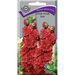 ������ ������ ����-���� ����   ����