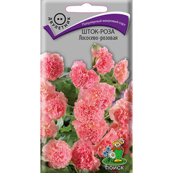 ������ ������ ����-���� ��������-�������   ����