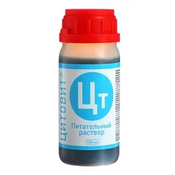 ������ ������ ������� (100��)   ����