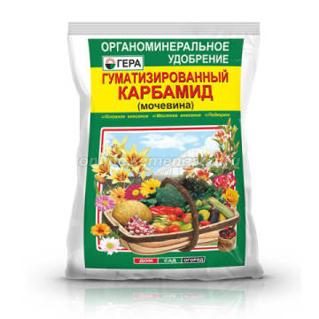 ������ ������ ��������, ���������������� (0,8��) (����)   ����