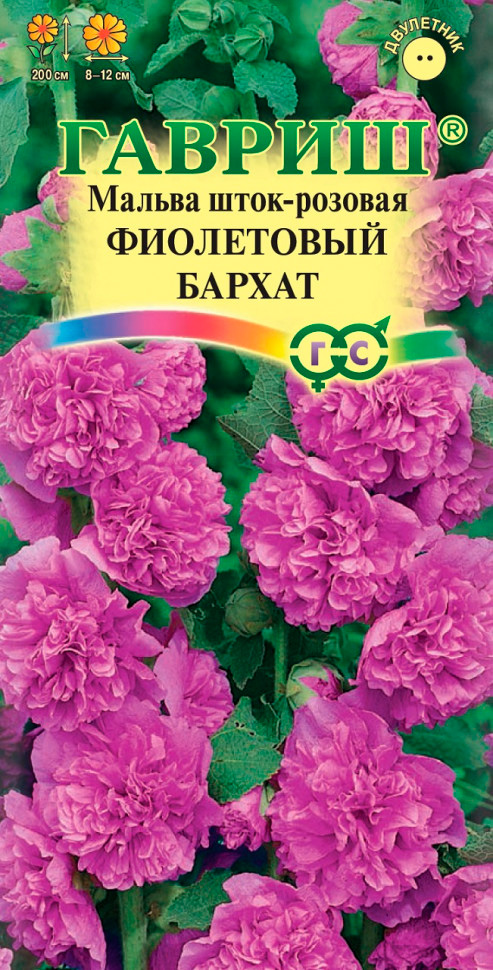 ������ ������ ������ ������ ������ ���������� ������, 0,1 �   ����