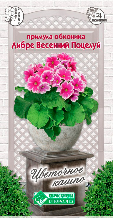 ������ ������ ������ ���������� ������� �������� ����� �������� �������, 5 ��. ��������� �����   ����