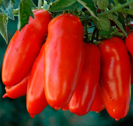 ������ ������ ������ ����� ������ ����� ��� �������, 5 ��.   ����