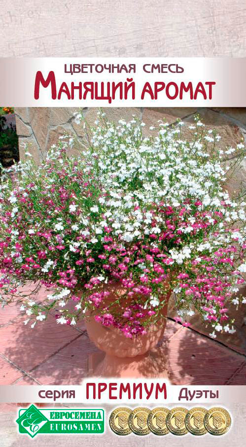 ������ ������ ������ ���������� ��������� ����� ������� ������, 10 ����� ������� �����   ����