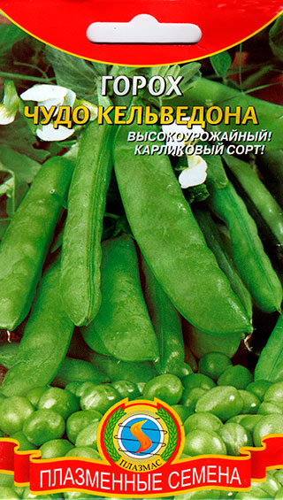 ������ ������ ������ ������� ����� ���� ����������, 9 �   ����