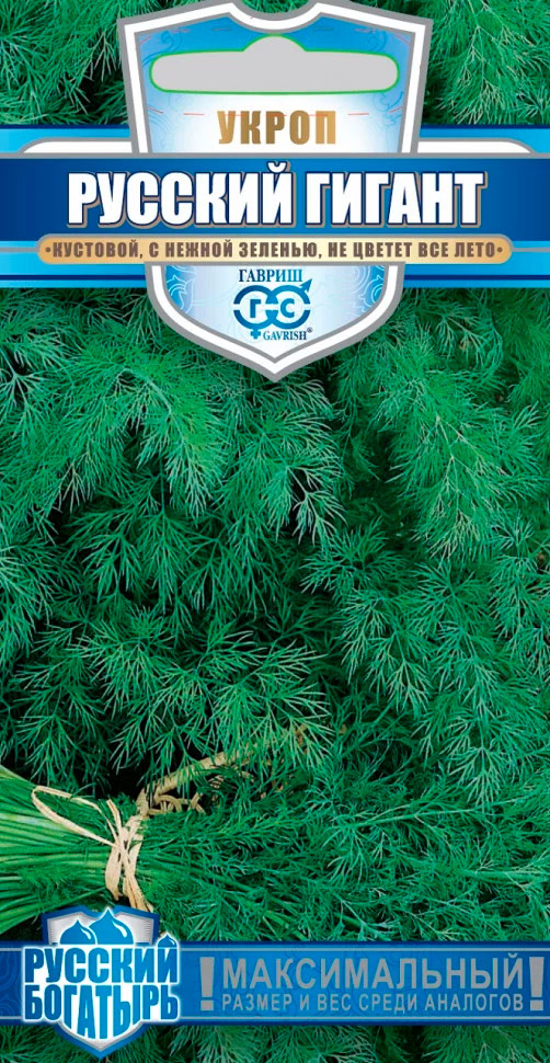 ������ ������ ������ ������ ����� ������� ������, 2 � ������� ��������   ����