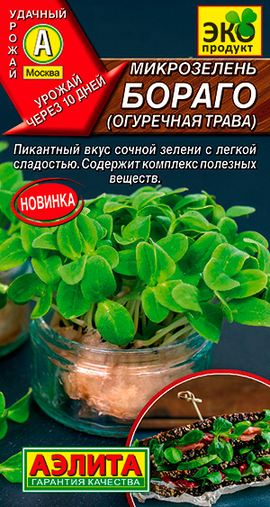 ������ ������ ������ ������ ����������� ������ ��������� �����, 3 �   ����