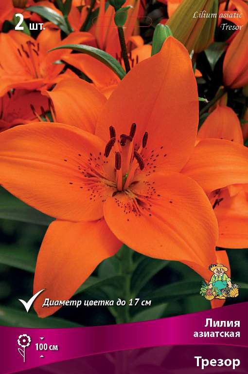 ������ ������ ���������� �������� ����� ��������� ����� ��������� ������, 2 ��.   ����