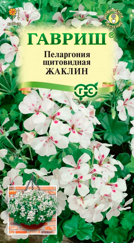 ������ ������ ������ ������ ���������� ��������� ������, 3 ��.   ����