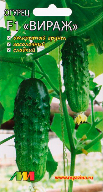 ������ ������ ������ ������ ������ ����������� ������ ����� F1, 8 ��.   ����