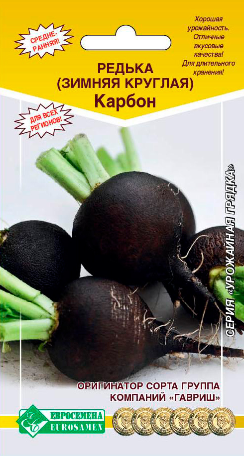 ������ ������ ������ ���������� ������ ������ ������� ������, 1 �   ����