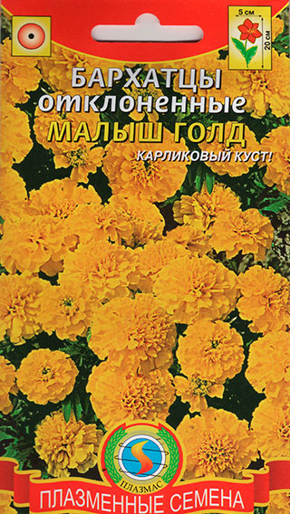 ������ ������ ������ ������� �������� ����������� ����� ����, 30 ��.   ����