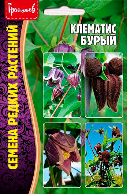 ������ ������ ������ ��������� �������� �����, 4 ��. ������ ������ ��������   ����