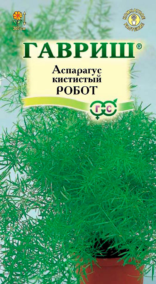 ������ ������ ������ ������ ��������� ��������� �����, 0,3 �   ����