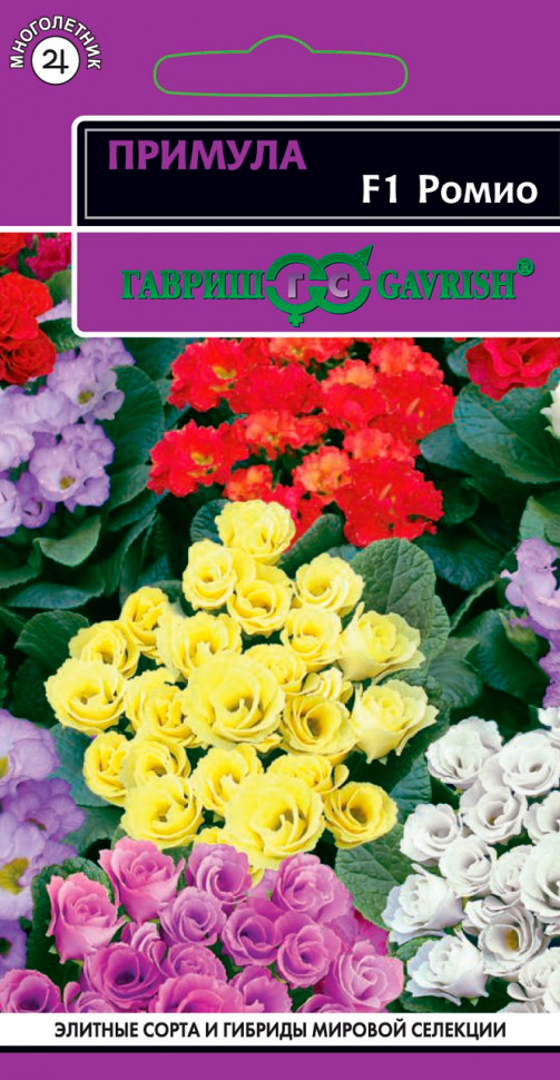 ������ ������ ������ ������ ������� �������� ����� F1, �����, 3 ��. ���������   ����