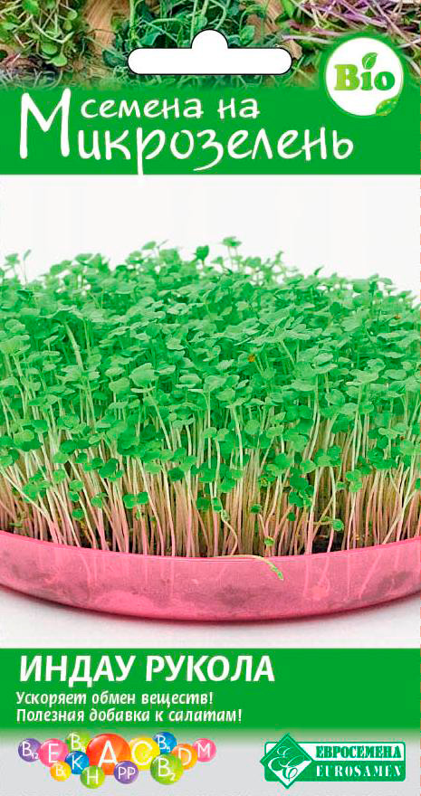 ������ ������ ������ ���������� ����������� ����� (������), 5 �   ����