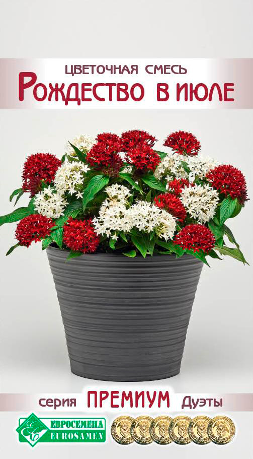 ������ ������ ������ ���������� ��������� ����� ��������� � ����, 4 ����� ������� �����   ����