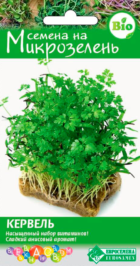 ������ ������ ������ ���������� ����������� �������, 2 �   ����