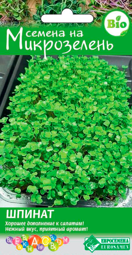 ������ ������ ������ ���������� ����������� ������, 5 �   ����