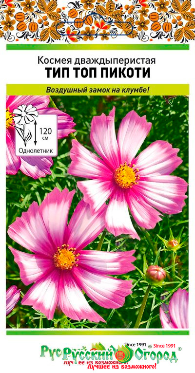 ������ ������ ������ ������� ������ ������ �������������� ��� ��� ������, 0,2 �   ����