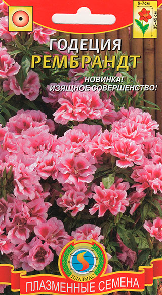 ������ ������ ������ ������� ������� ��������, 0,05 �   ����