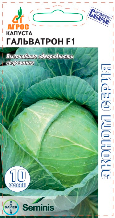 ������ ������ ������ ����� ������� ������������ ���������� F1, 10 ��. Seminis   ����