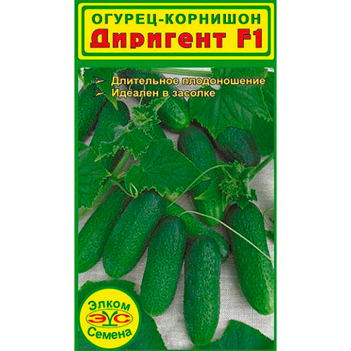 ������ ������ ������ ����� ������ ������ �������� F1, 10 ��.   ����