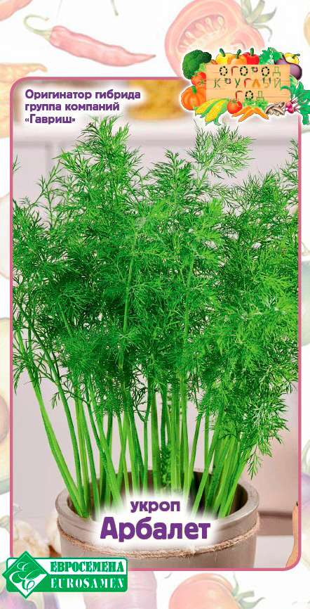 ������ ������ ������ ���������� ����� �������, 1 � ������ ������� ���   ����