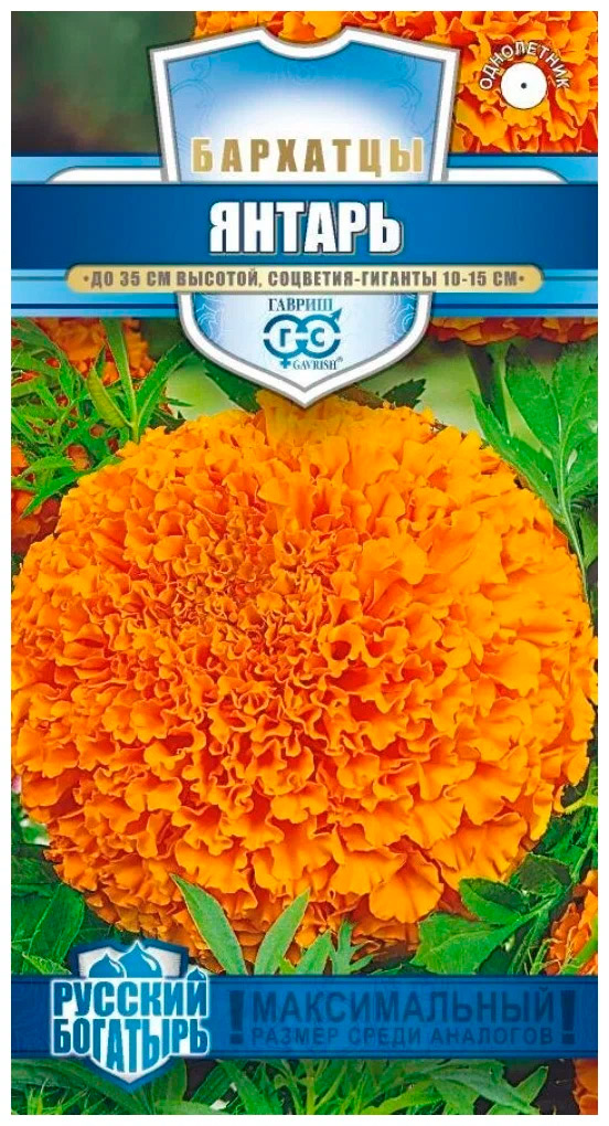 ������ ������ ������ ������ �������� ������, 0,1 � ������� ��������   ����