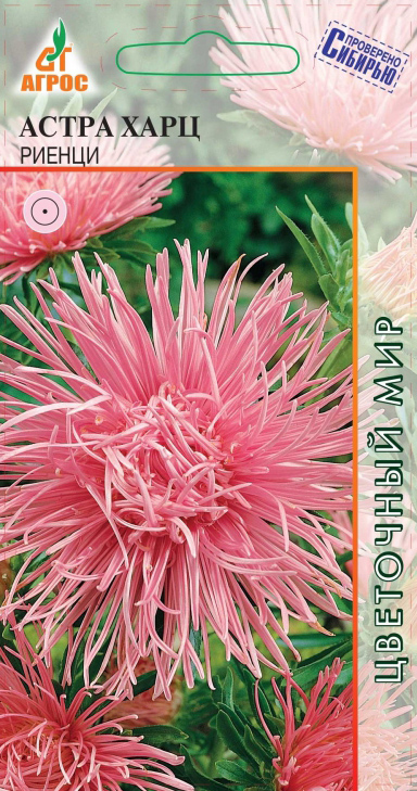 ������ ������ ������ ����� ����� ���� ������, 0,3 � ��������� �������   ����