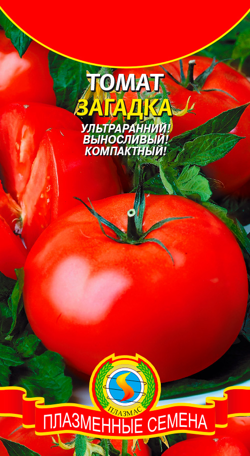 ������ ������ ������ ������� ����� �������, 0,1 �   ����