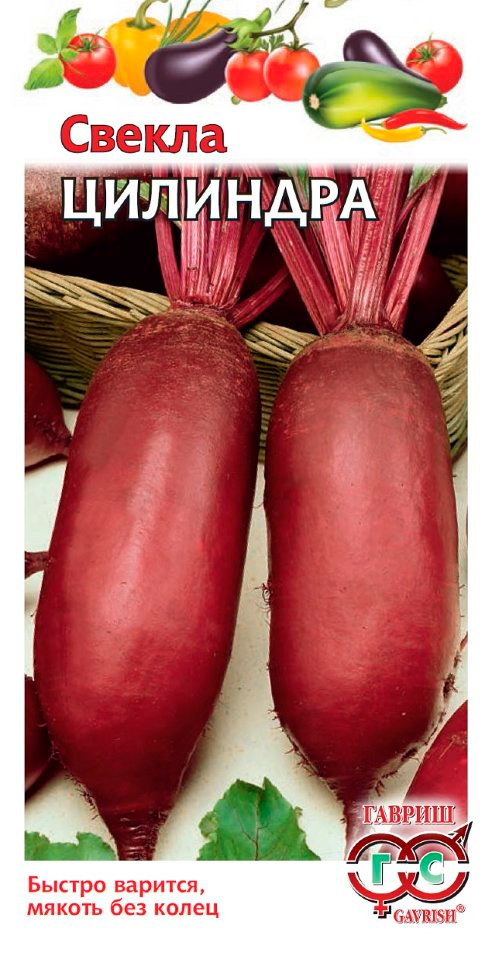 ������ ������ ������ ������ ������ ��������, 3 �   ����