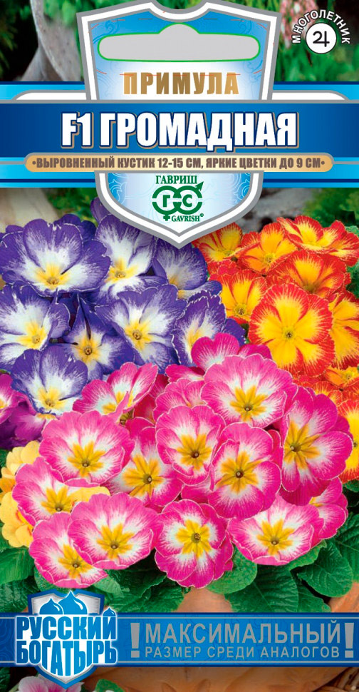 ������ ������ ������ ������ ������� ��������� F1, �����, 5 ��. ������� ��������   ����