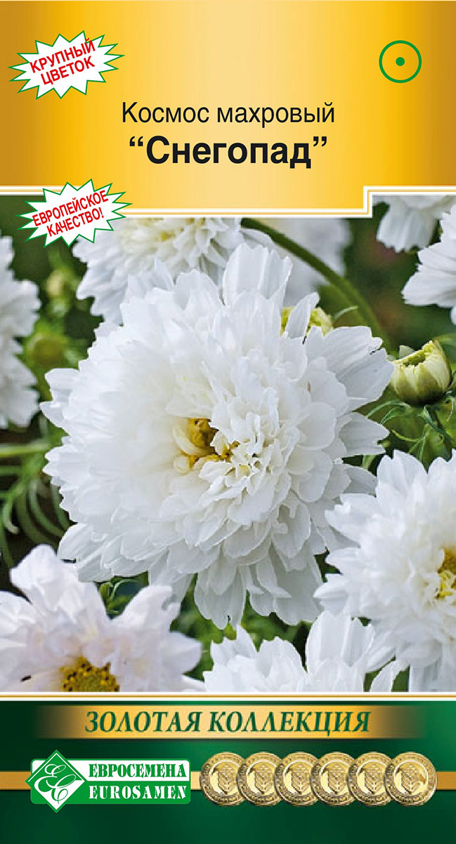 ������ ������ ������ ���������� ������ �������� ��������, 0,05 � ������� ���������   ����