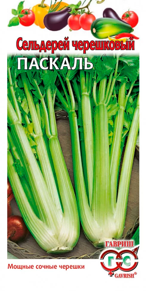 ������ ������ ������ ������ ��������� ���������� �������, 0,1 �   ����