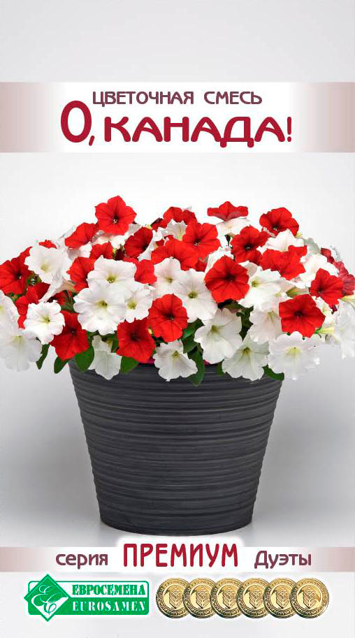 ������ ������ ������ ���������� ��������� ����� �, ������, 10 ����� ������� �����   ����