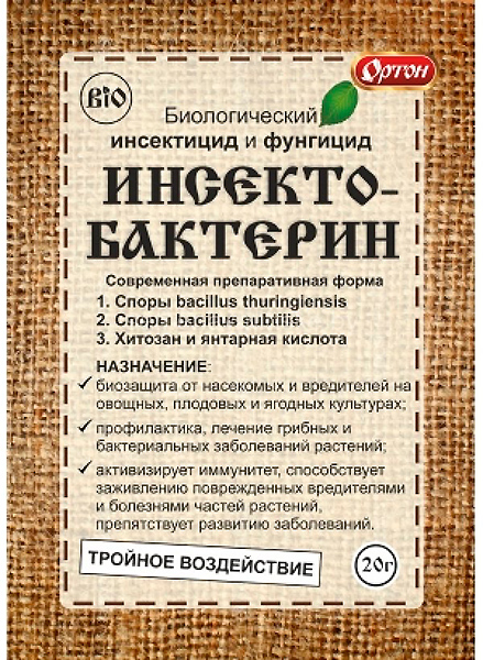 ������ ������ ���� �� ���������� ����� ���������������, 20 �   ����