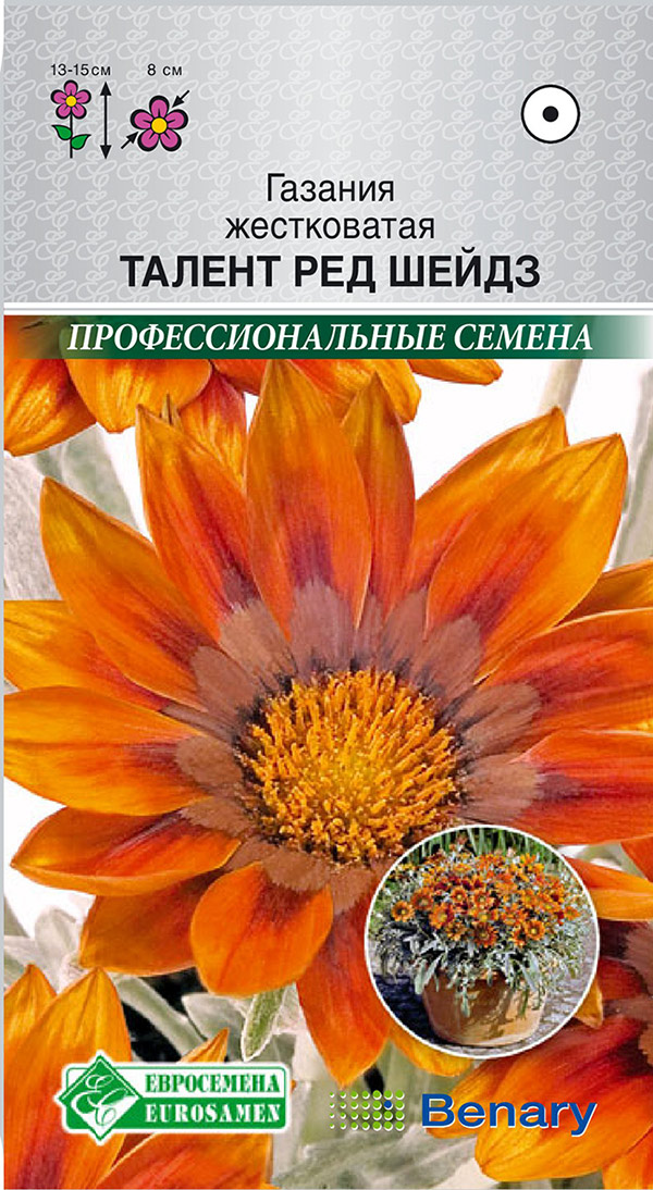 ������ ������ ������ ���������� ������� ������ ��� �����, 5 ��. Benary ���������������� ������   ����