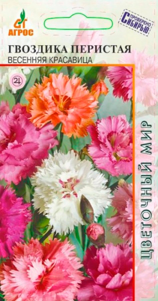 ������ ������ ������ ����� �������� �������� �������� ���������, �����, 0,1 �   ����