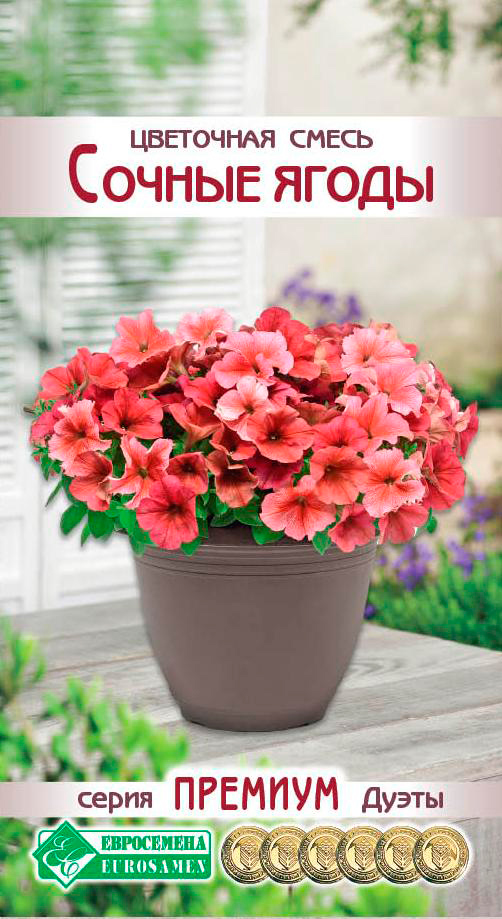 ������ ������ ������ ���������� ��������� ����� ������ �����, 10 ����� ������� �����   ����