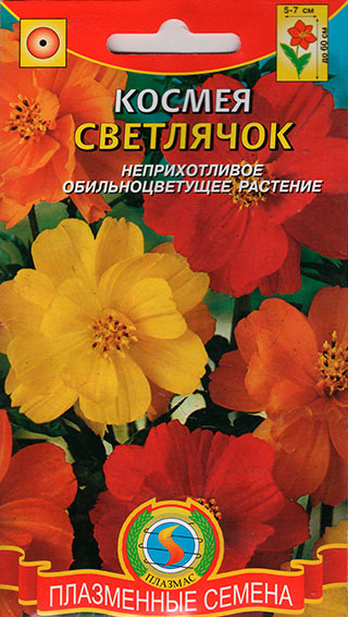 ������ ������ ������ ������� ������ ���������, �����, 0,3 �   ����