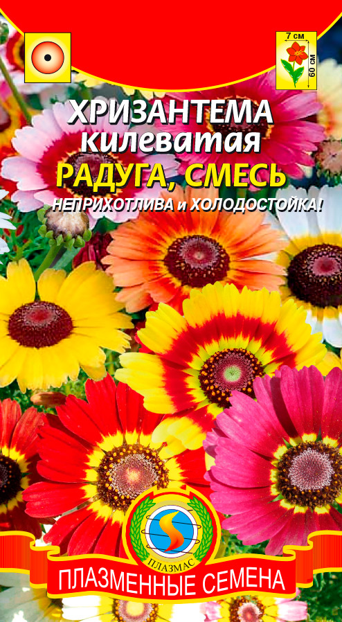 ������ ������ ������ ������� ���������� ��������� ������, �����, 0,5 �   ����