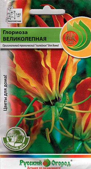 ������ ������ ������ ������� ������ �������� ������������, 6 ��. ������� ���   ����