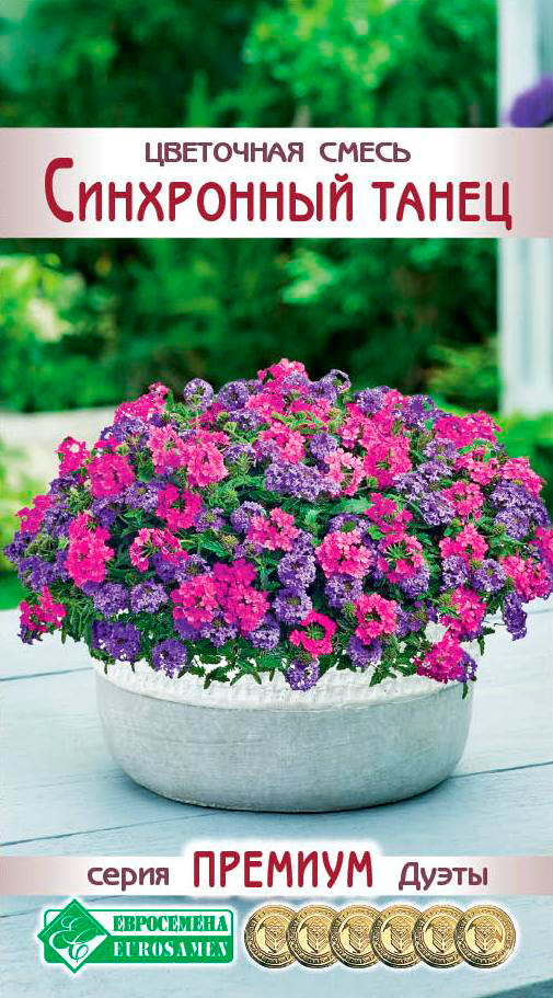 ������ ������ ������ ���������� ��������� ����� ���������� �����, 6 ��. ������� �����   ����