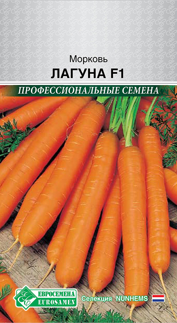 ������ ������ ������ ���������� ������� ������ F1, 150 ��. Nunhems ���������������� ������   ����