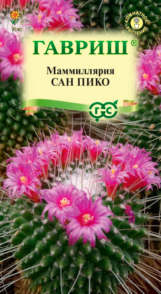 ������ ������ ������ ������ ����������� ������ (������) ��� ����, 2 ��.   ����