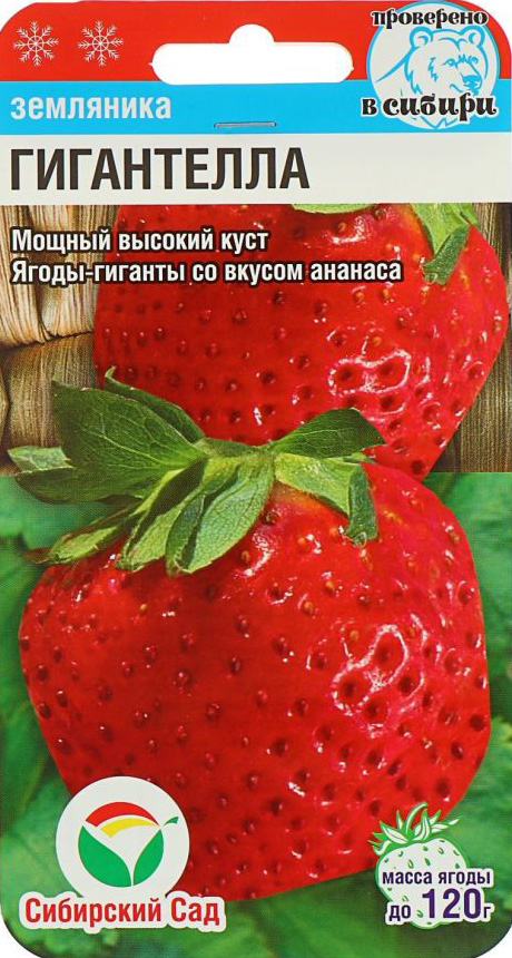 ������ ������ ������ ��������� ��� ��������� ������������� ����������, 10 ��.   ����