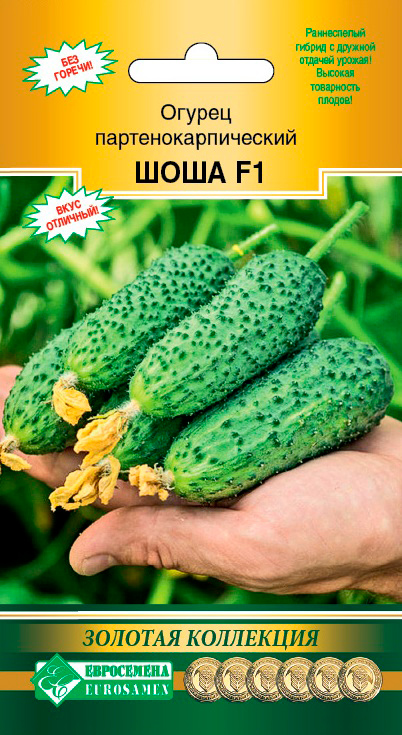 ������ ������ ������ ���������� ������ ���� F1, 5 ��. ������� ���������   ����