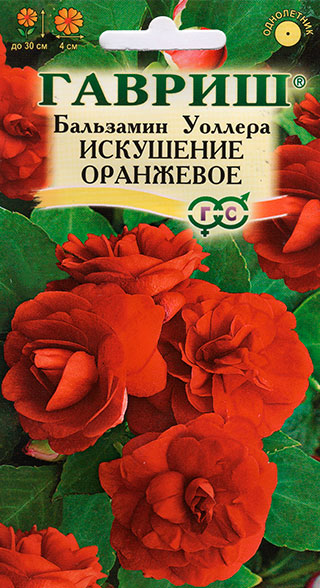 ������ ������ ������ ������ ��������� ������� ��������� ���������, 5 ��.   ����