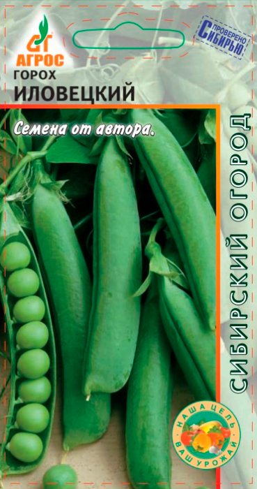 ������ ������ ������ ����� ����� ���������, 10 � ��������� �������   ����